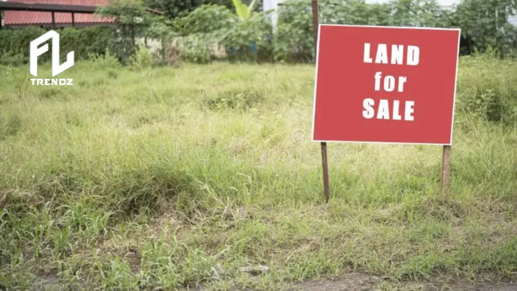 How to sell vacant land in Florida - FLTrendz
