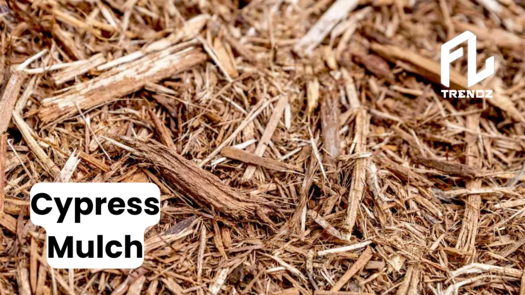 Cypress Mulch - FLTrendz 