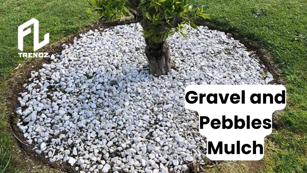 Gravel and Pebbles Mulch - FLTrendz 