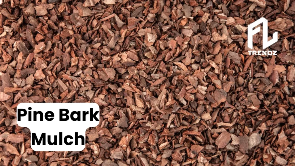 Pine Bark Mulch - FLTrendz 