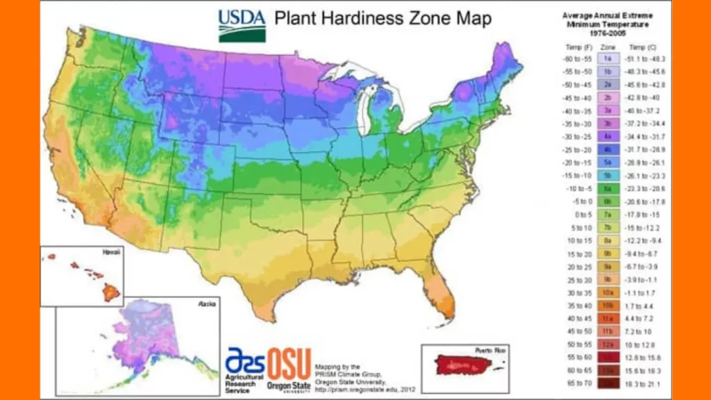 Plant Hardiness Zone Map - FLTrendz 