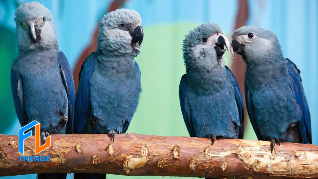 Types of Blue Birds in Florida - FLTrendz